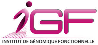 Institut de Génomique Fonctionnelle (IGF)